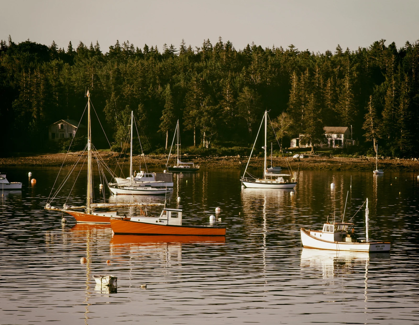 Boats resting in a quiet harbor along the wooded Maine coast